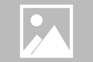 【湛江龙门疫情情况最新/湛江新型肺炎疫情动态】